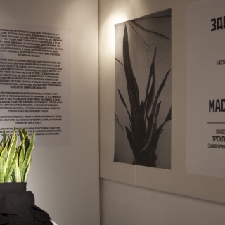 The Plant is Present in Moscow