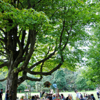 9757024624_bc7ac6b6b8_z