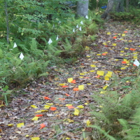 Tracks and Trails 2015